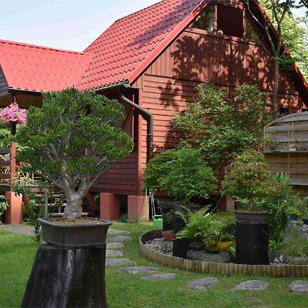 Villa Ogrod Shinrin Yoku Odpoczynek W Lesie Srokowo Exterior foto