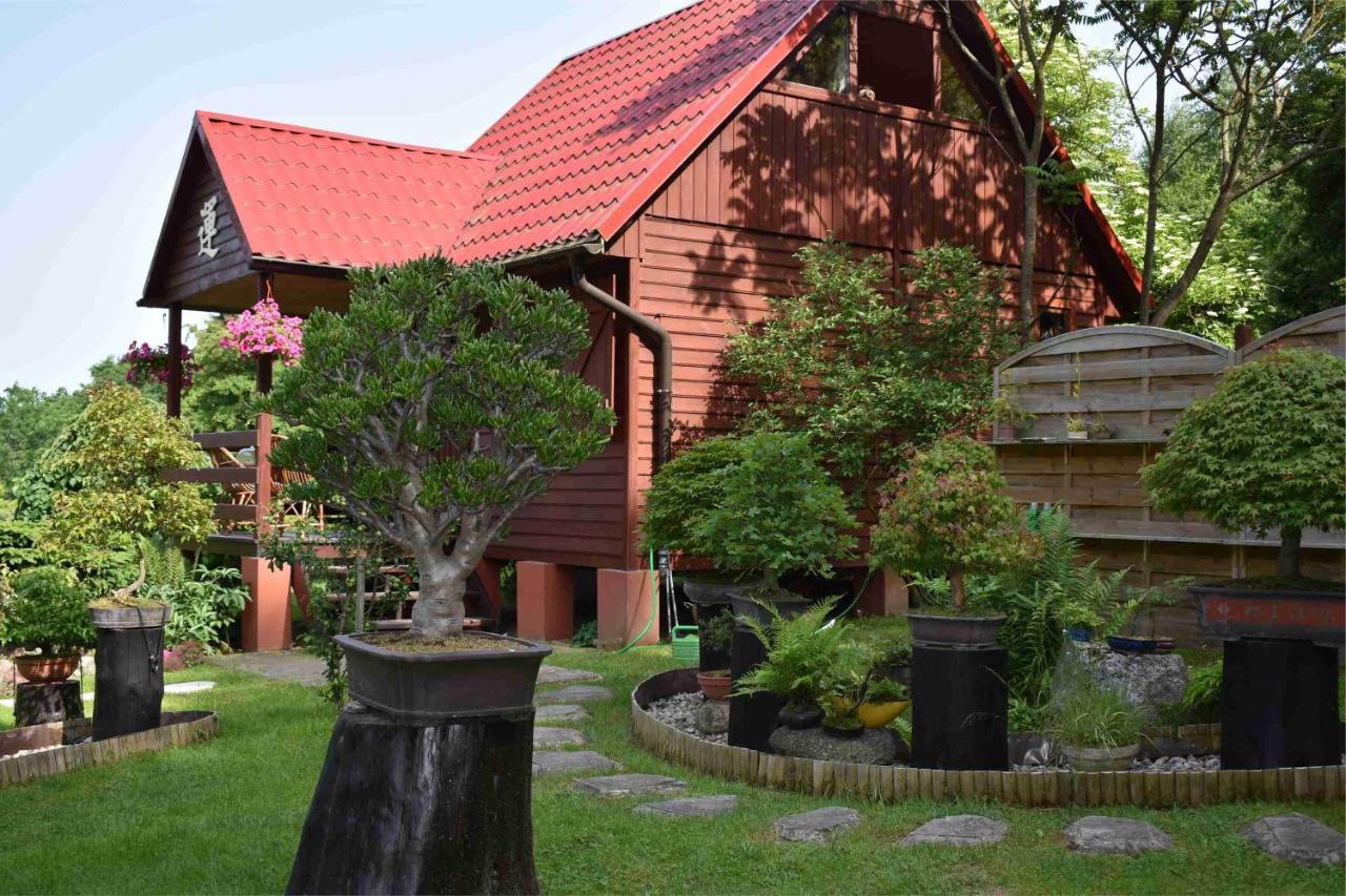 Villa Ogrod Shinrin Yoku Odpoczynek W Lesie Srokowo Exterior foto