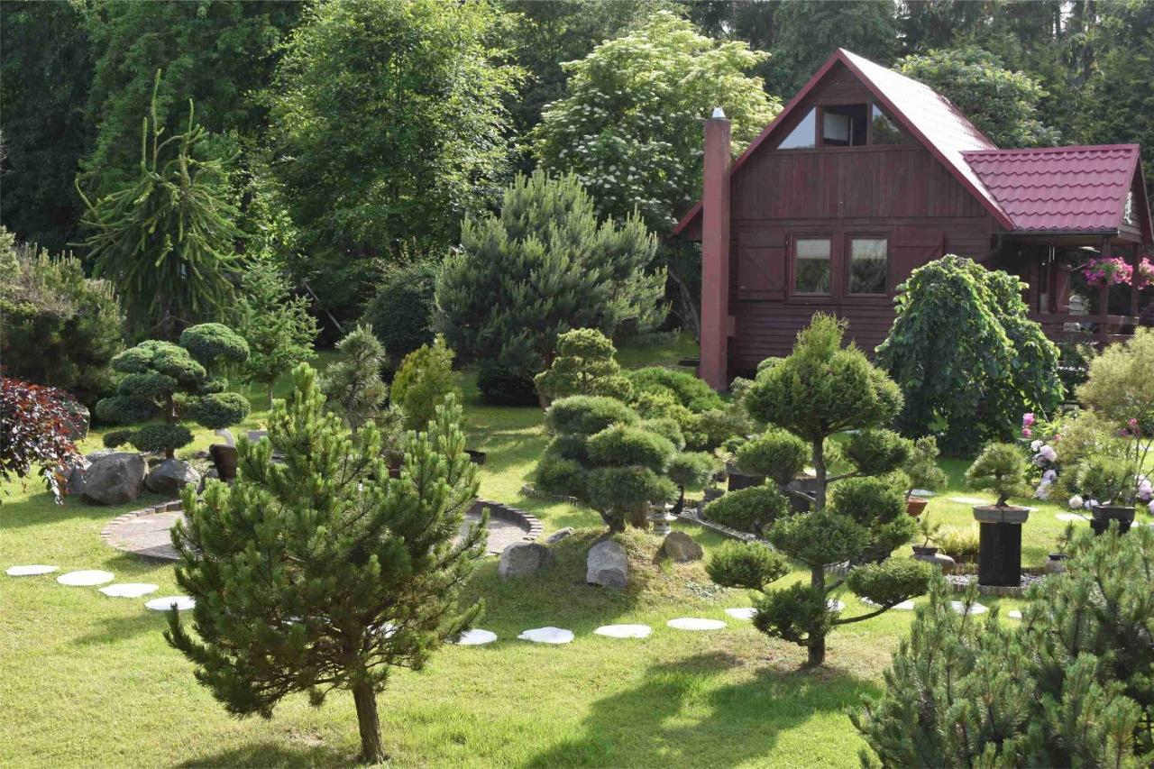 Villa Ogrod Shinrin Yoku Odpoczynek W Lesie Srokowo Exterior foto